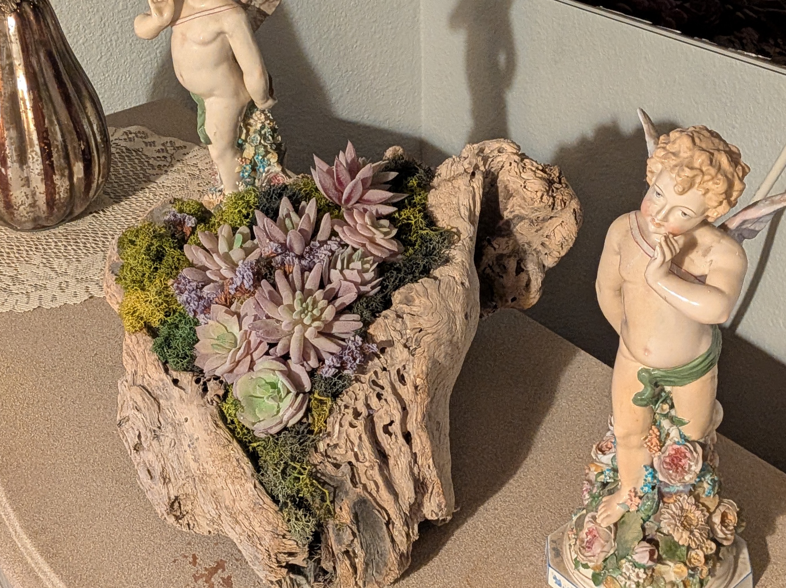 Flowers and succulent on driftwood