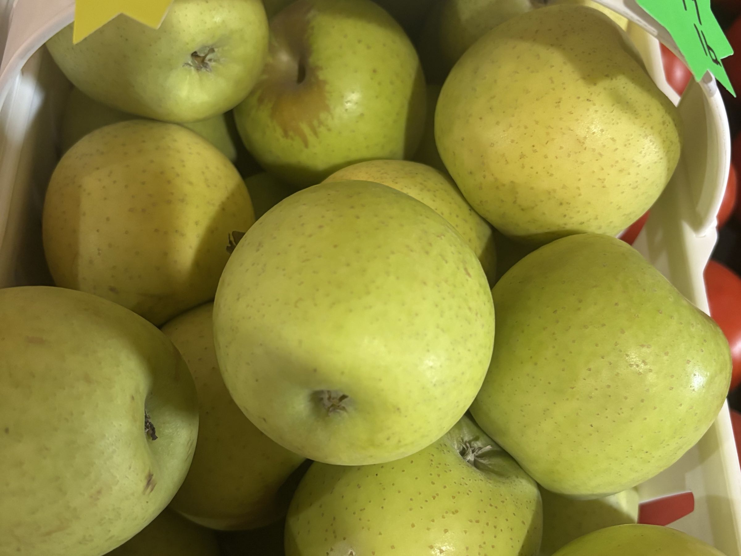 NC Mountain Golden Delicious Apples 