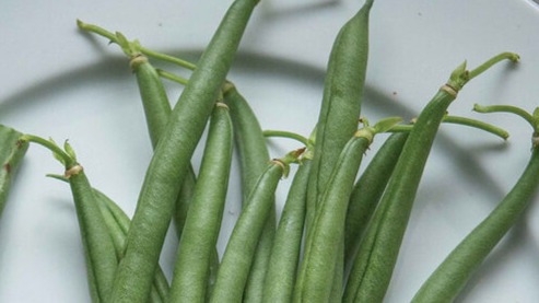 START - Pole Bean - Seychelles