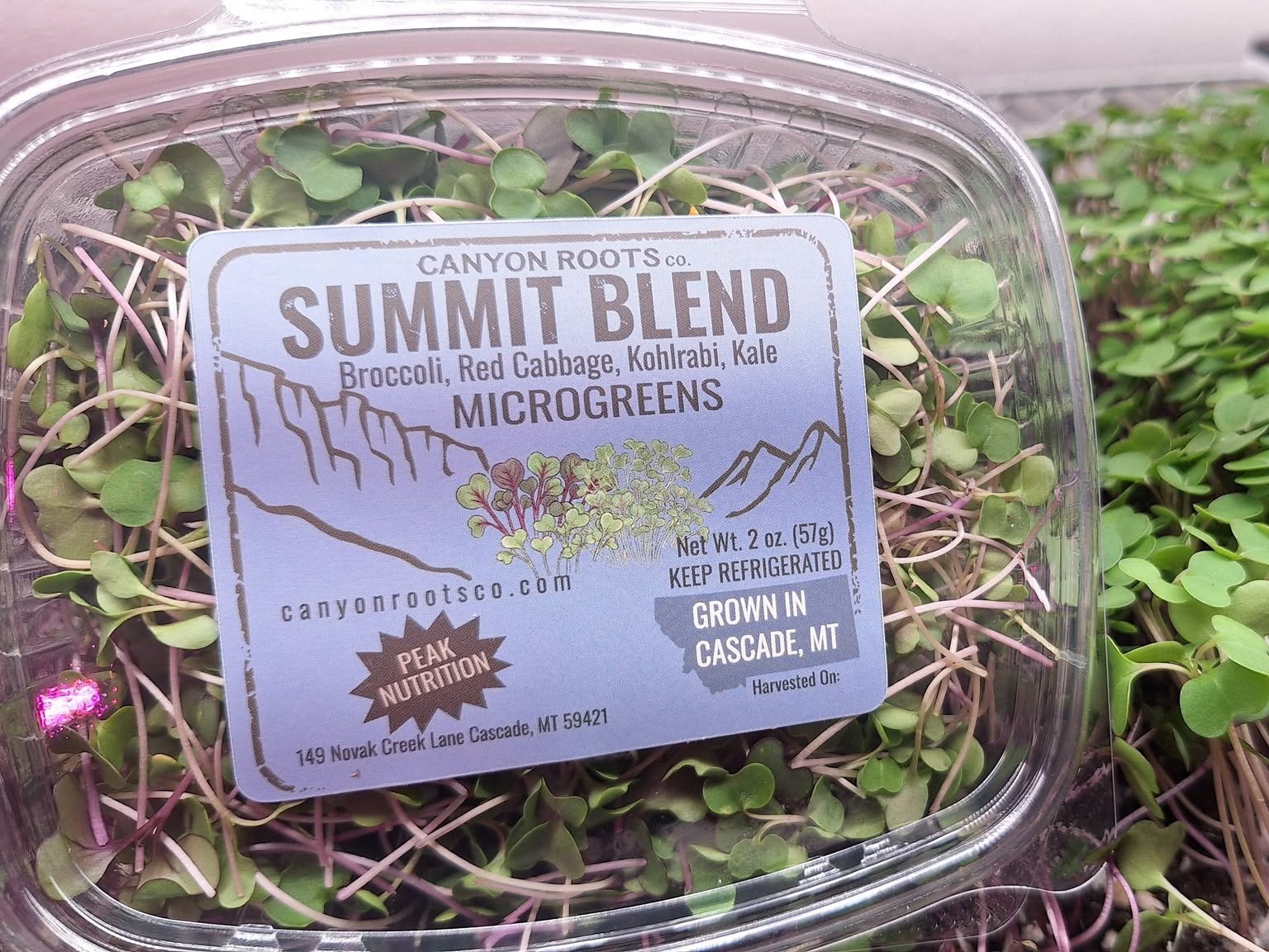 Summit Blend (Peak Nutrition) Microgreens - 2 oz.