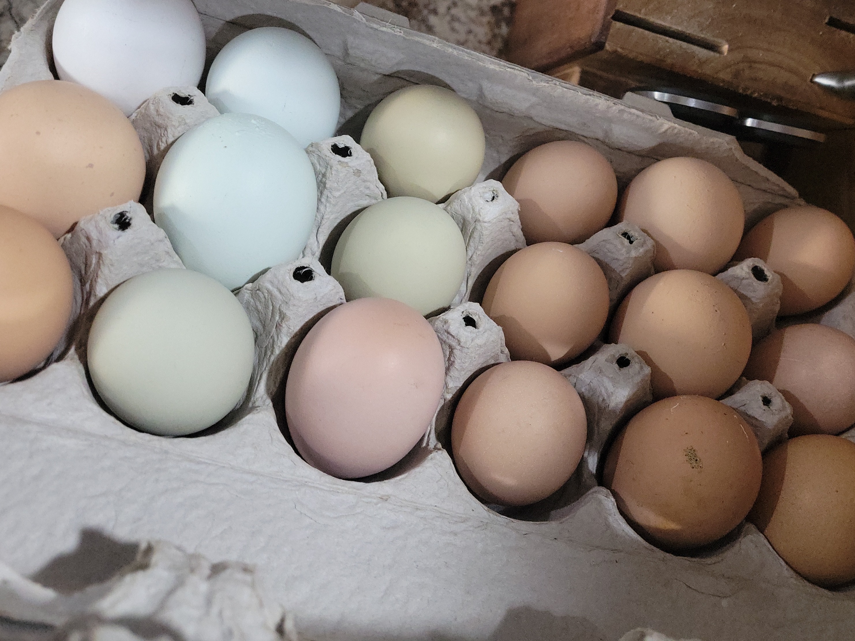 Eggs