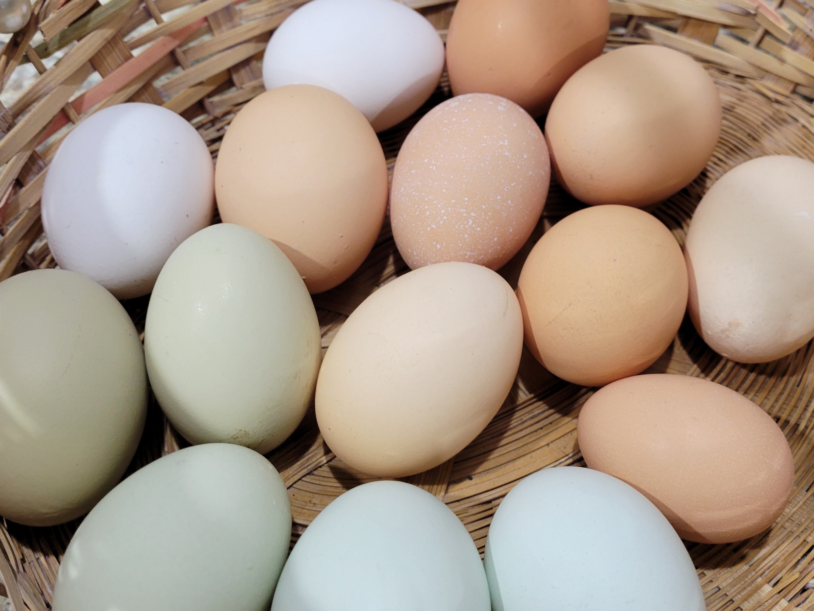 Thumbnail image 2 for Eggs