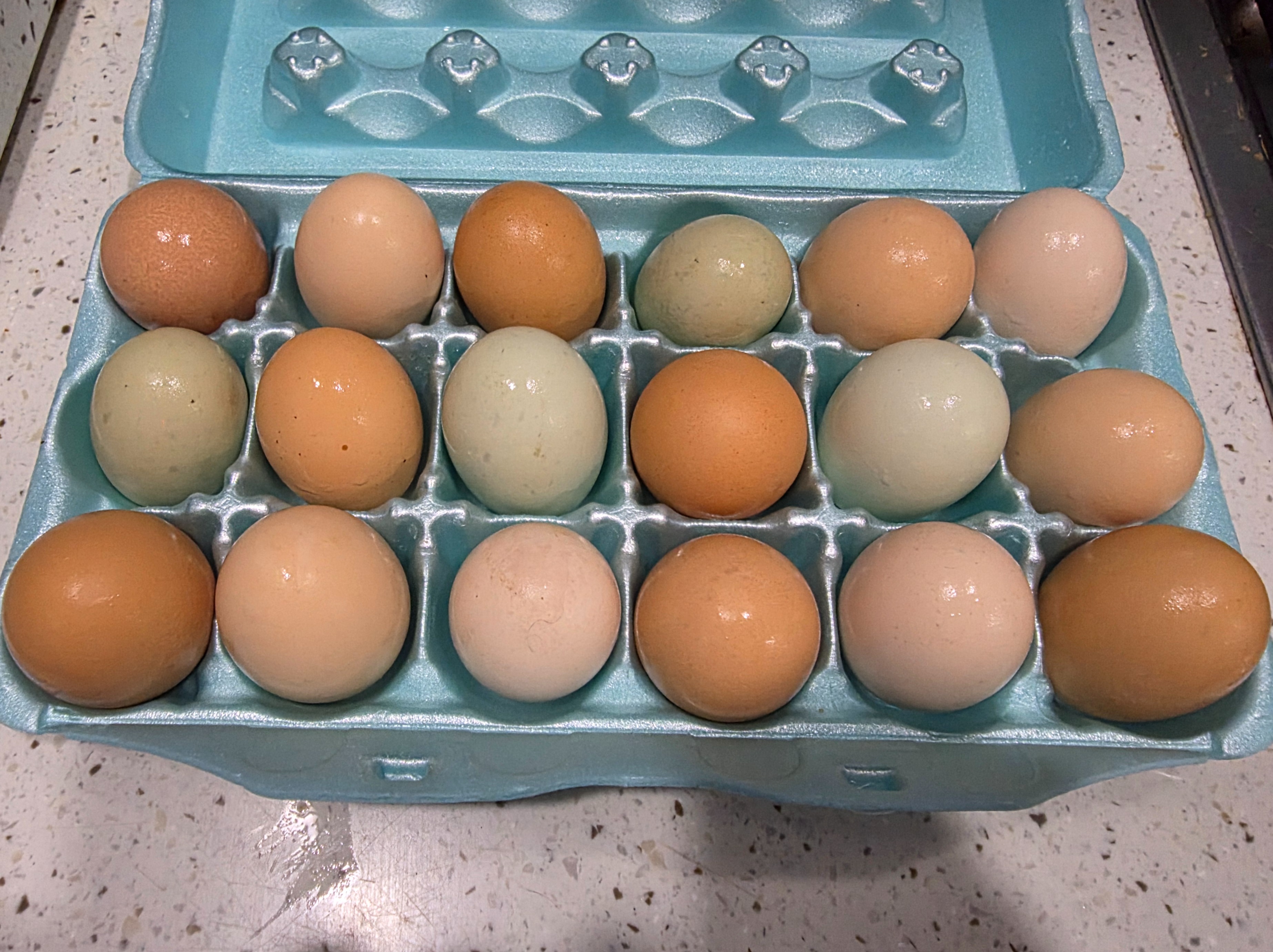 Thumbnail image 1 for 18 ct. Fresh Chicken Eggs