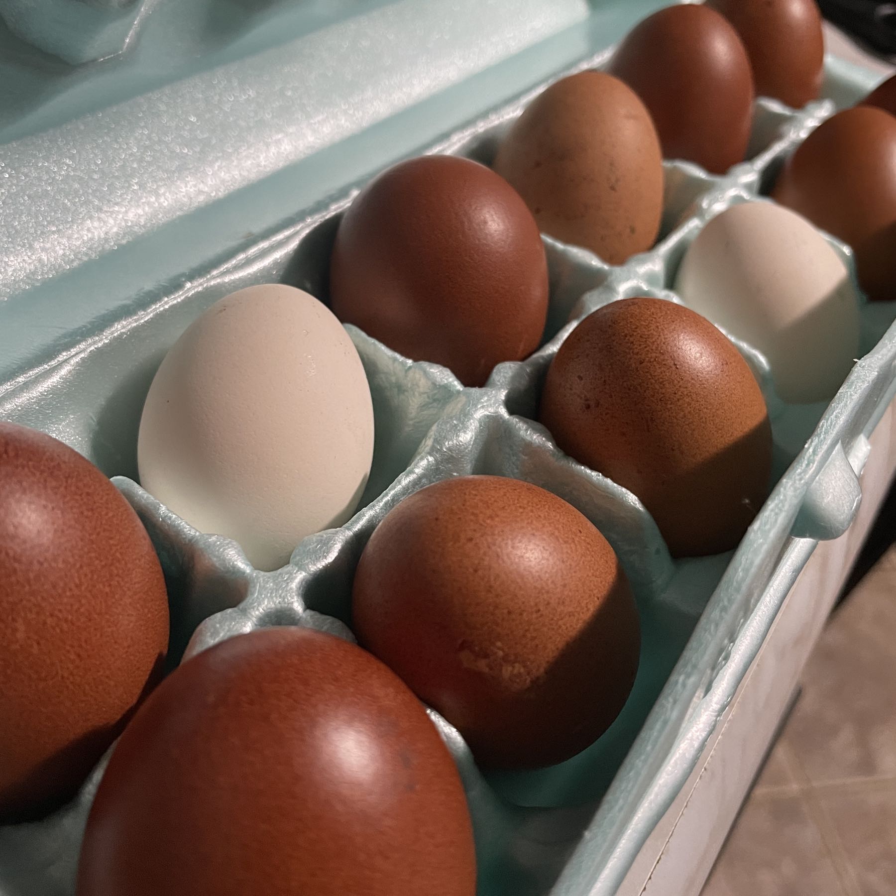 Farm Fresh Chicken Eggs