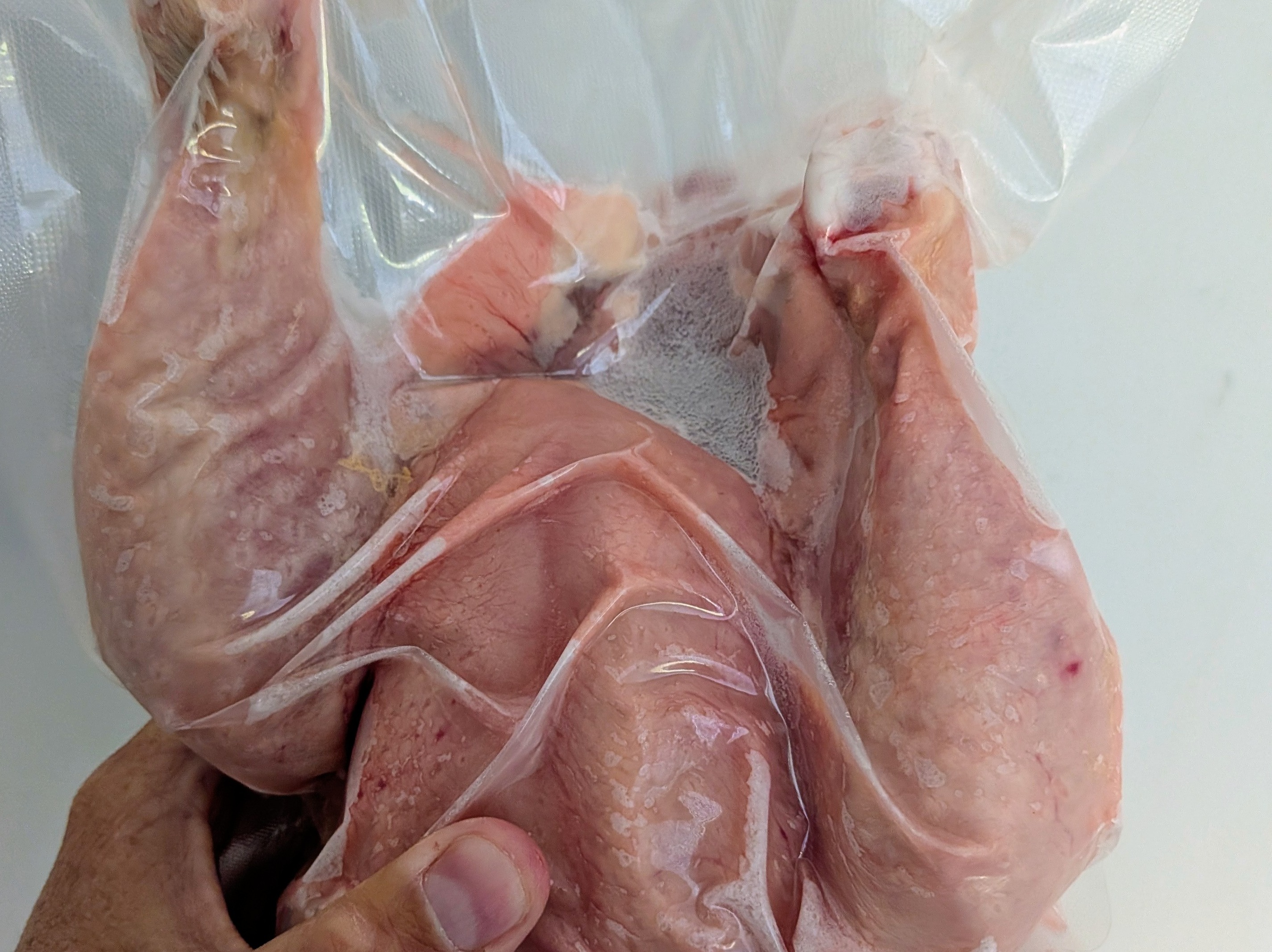 Thumbnail image 2 for Whole chicken