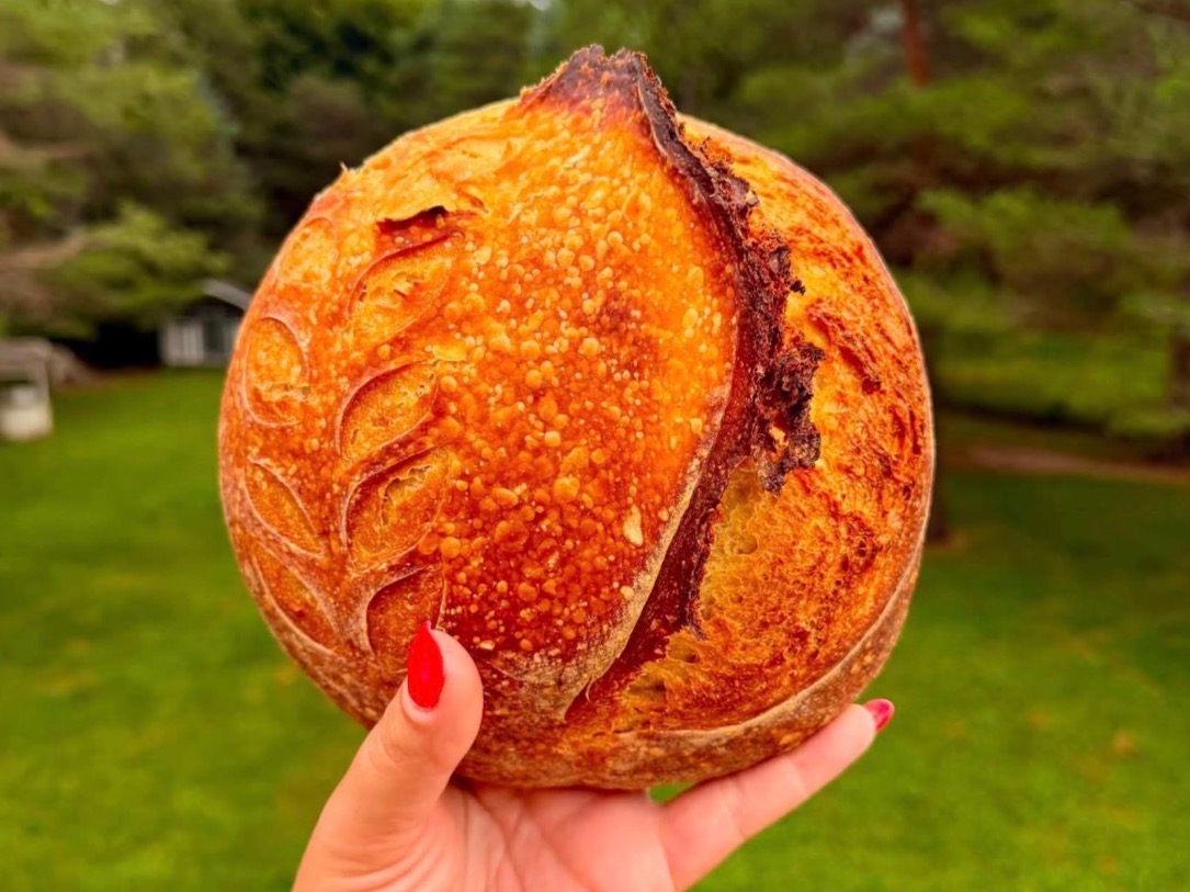 Plain Sourdough Loaf: Half-Sized Boule