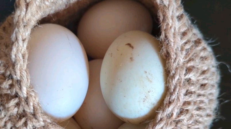 Duck Eggs - Half Dozen
