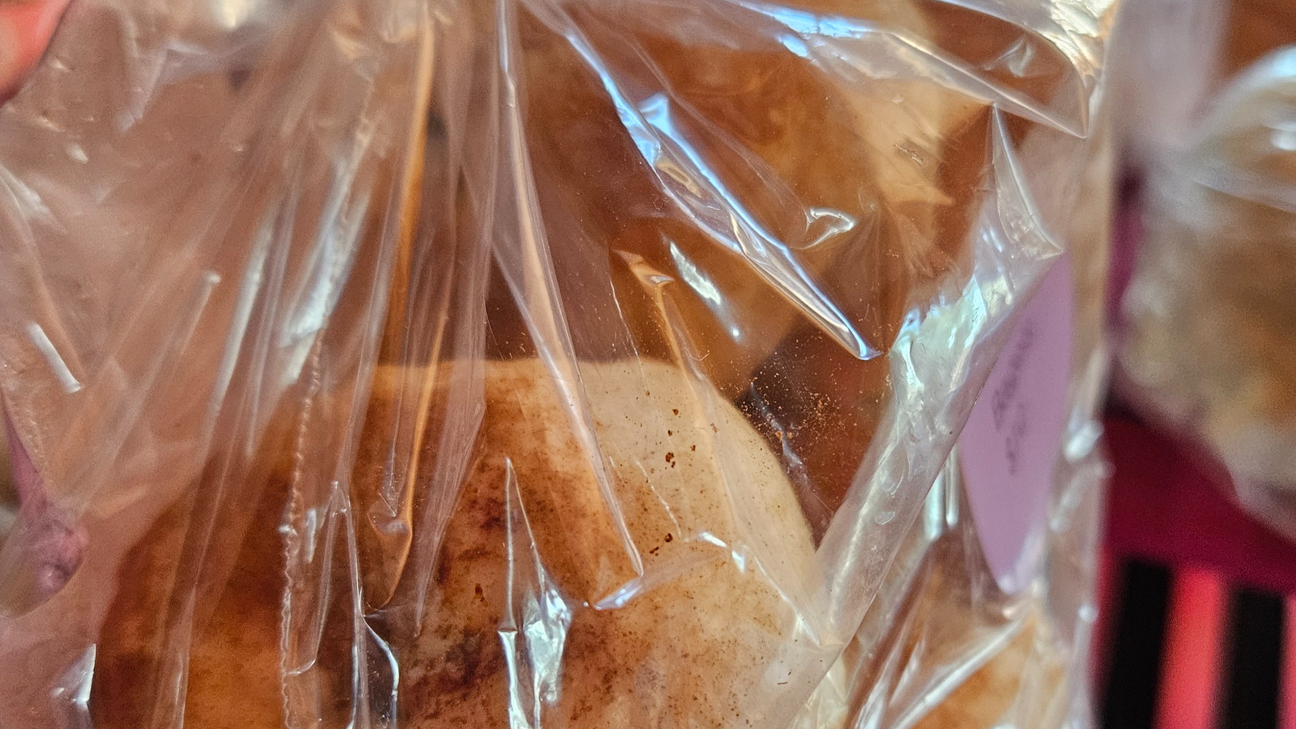 Cinnamon Sugar Bagels