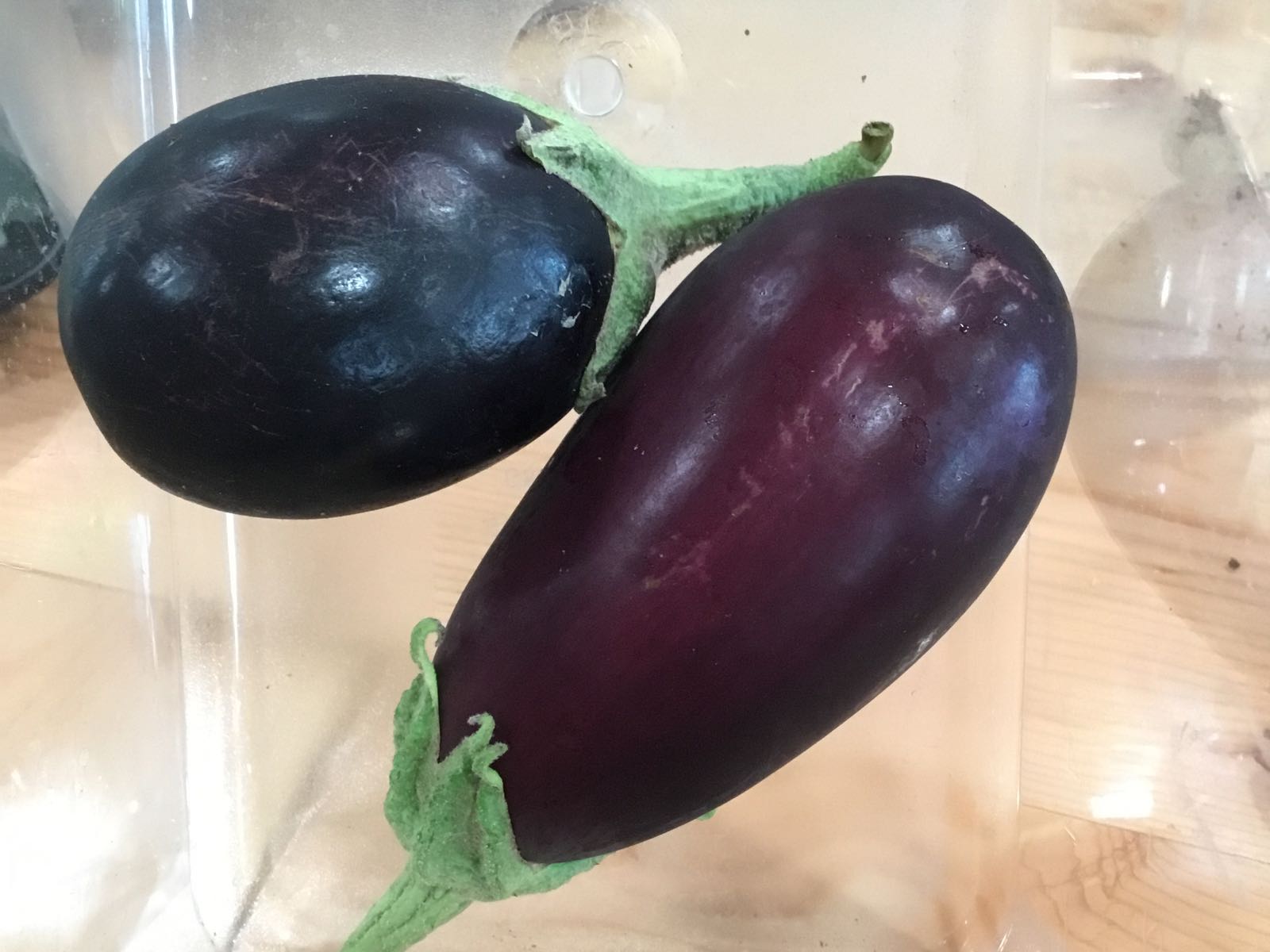 Fresh - Eggplant