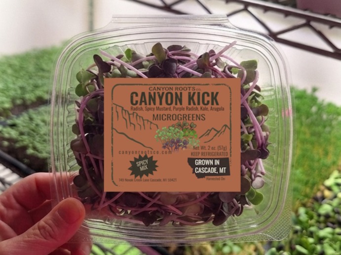 Canyon Kick (Spicy Mix) Microgreens - 2 oz.