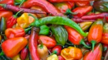 Mix of hot peppers