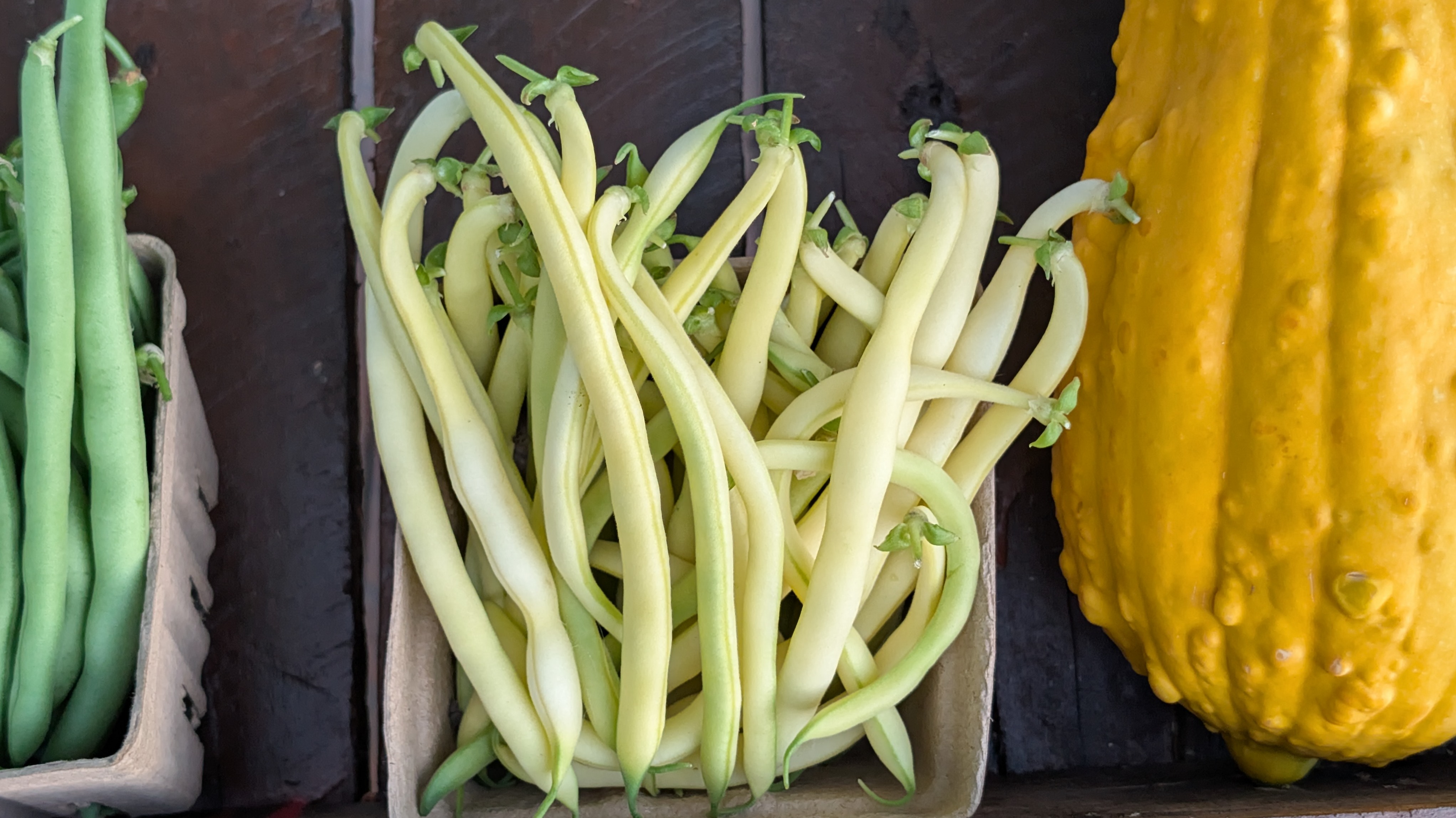 Butterwax Yellow Beans