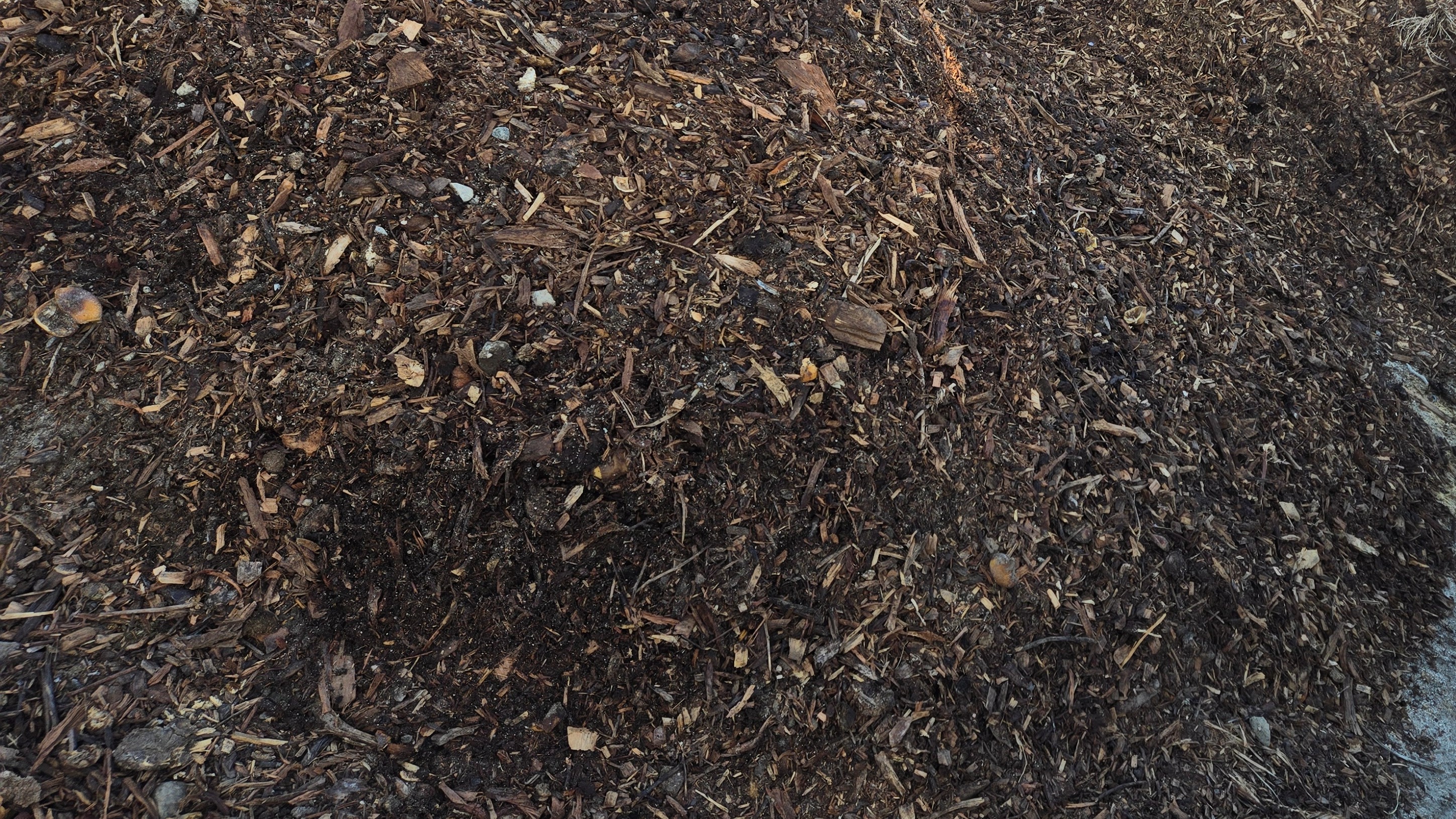 Thumbnail image 1 for Compost