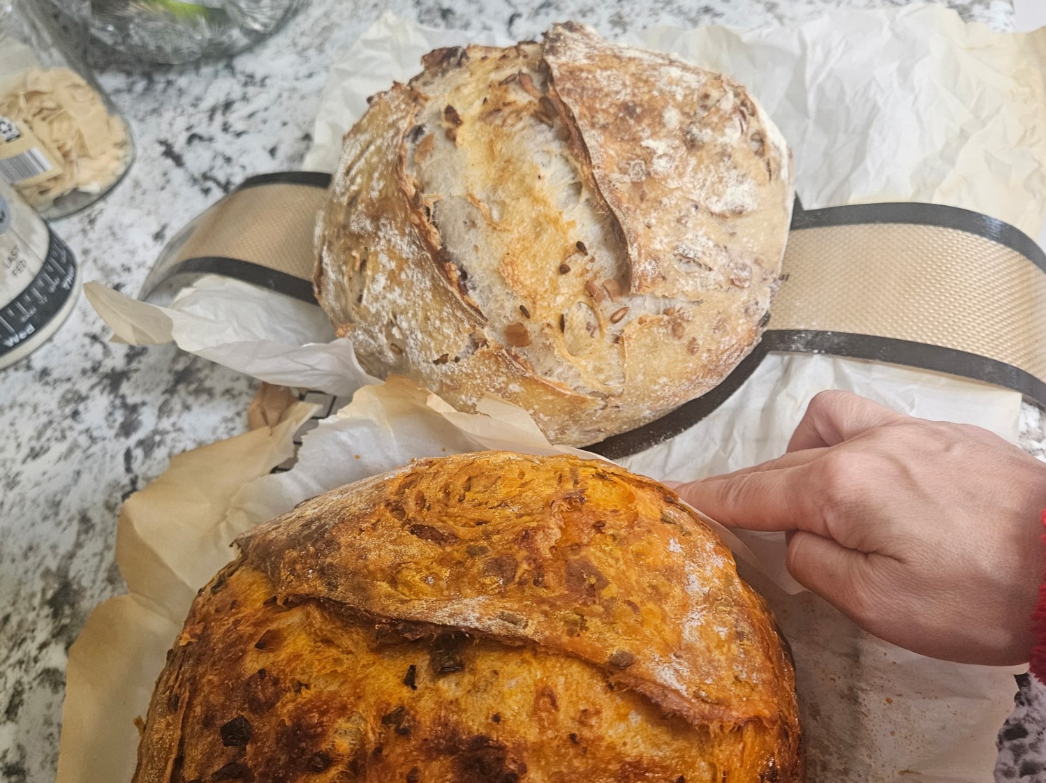 Sourdough Loaves