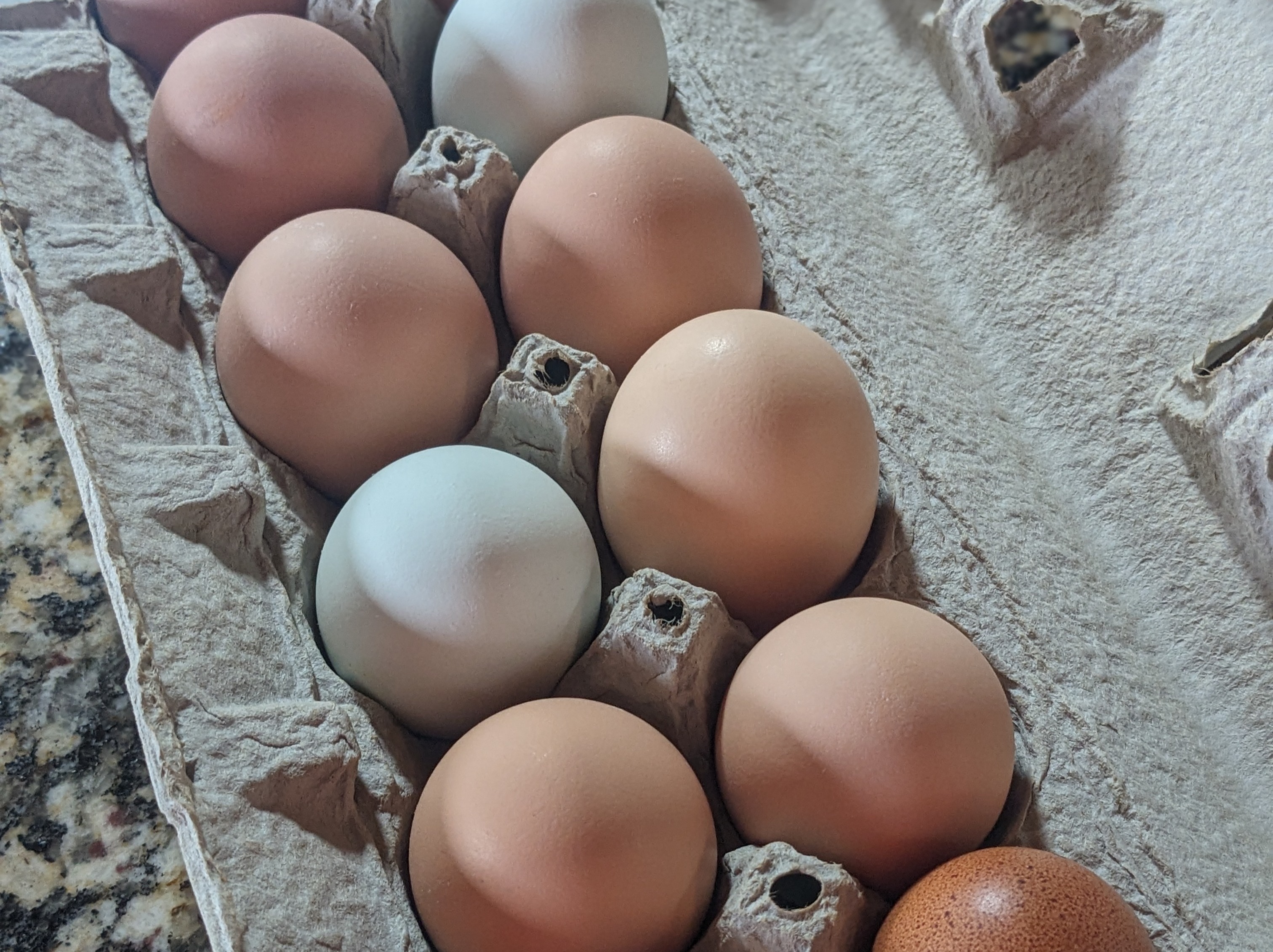 Thumbnail image 2 for Free Range Chicken Eggs