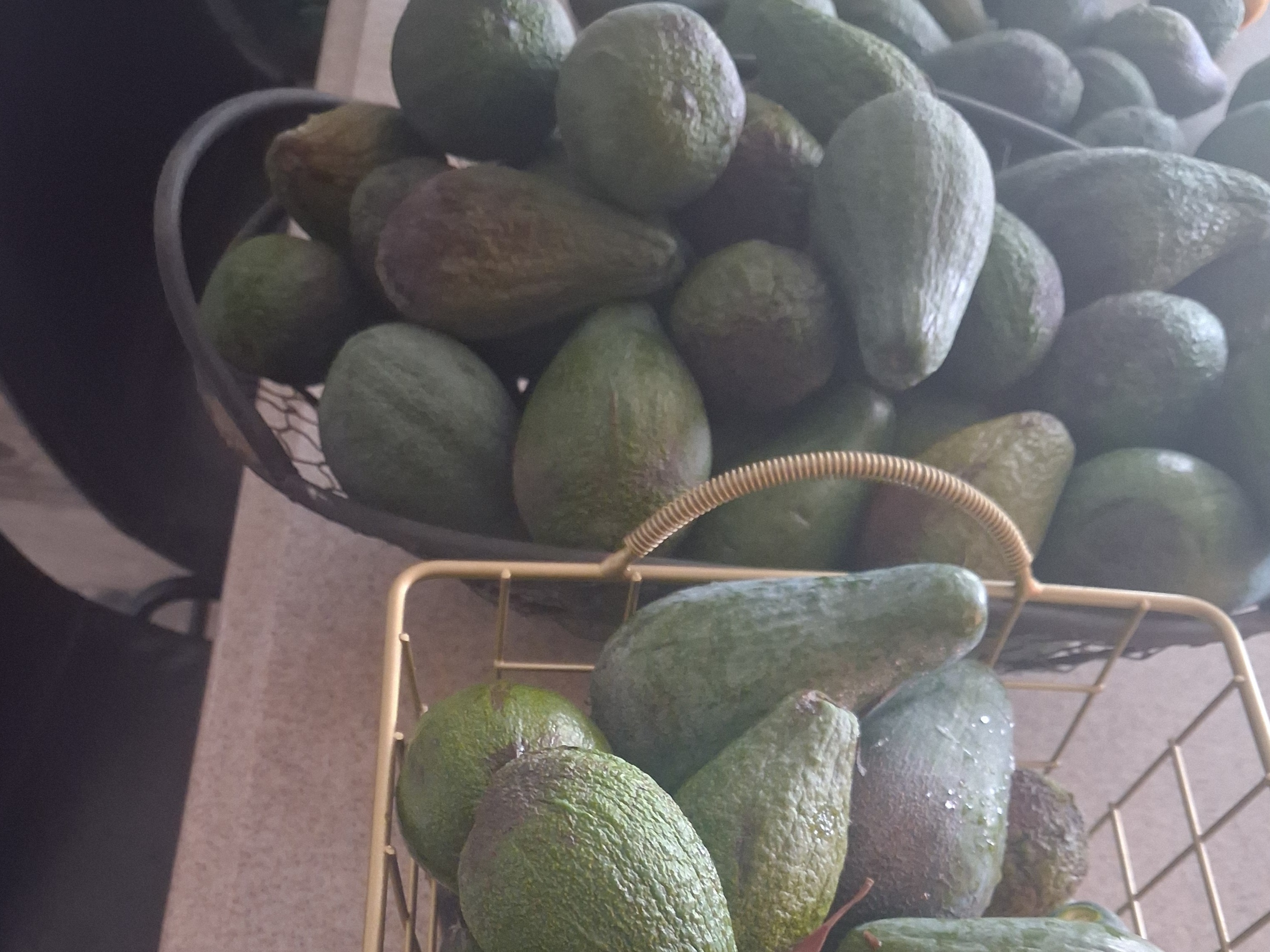 Thumbnail image 1 for Avacado $5/dozen