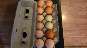 Chicken Eggs 1 Dozen