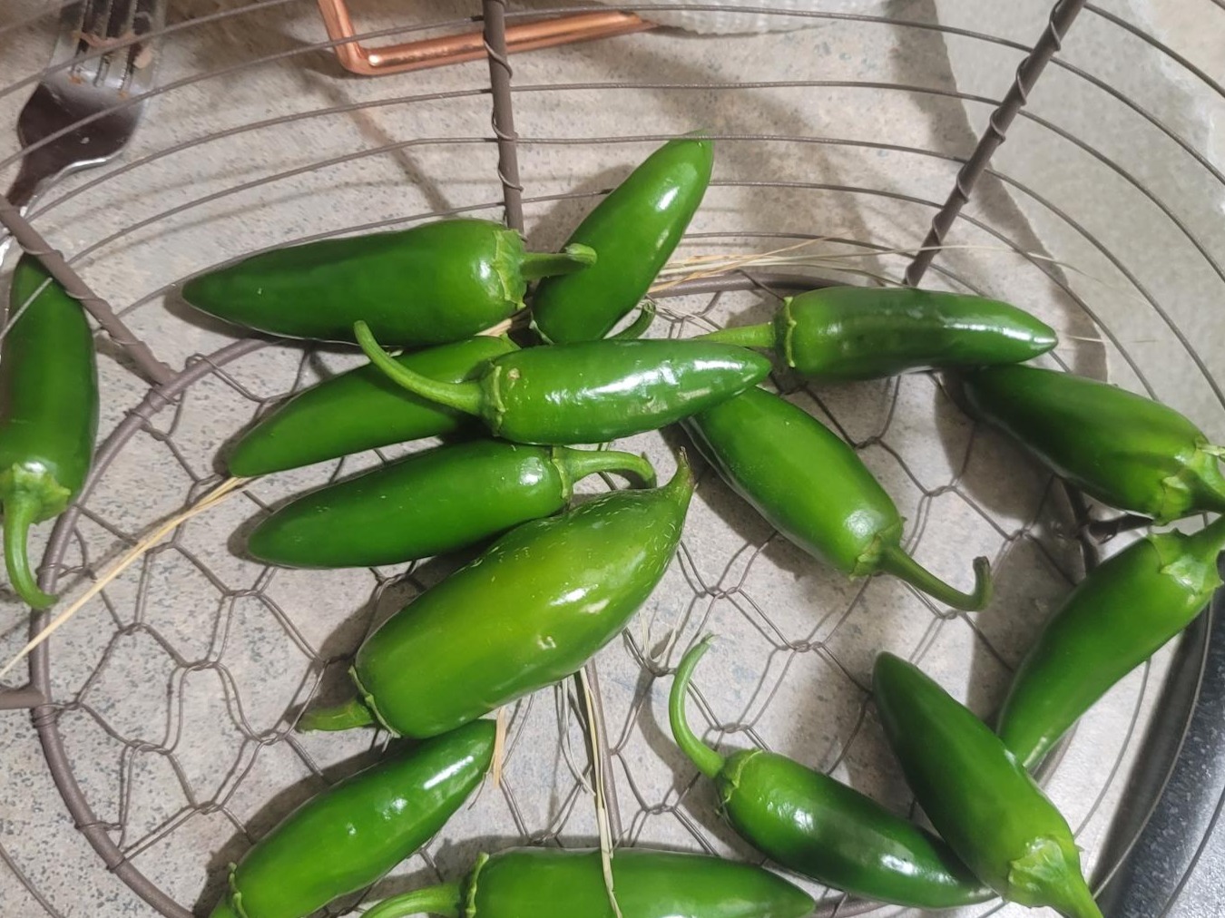 Jalapeño Peppers