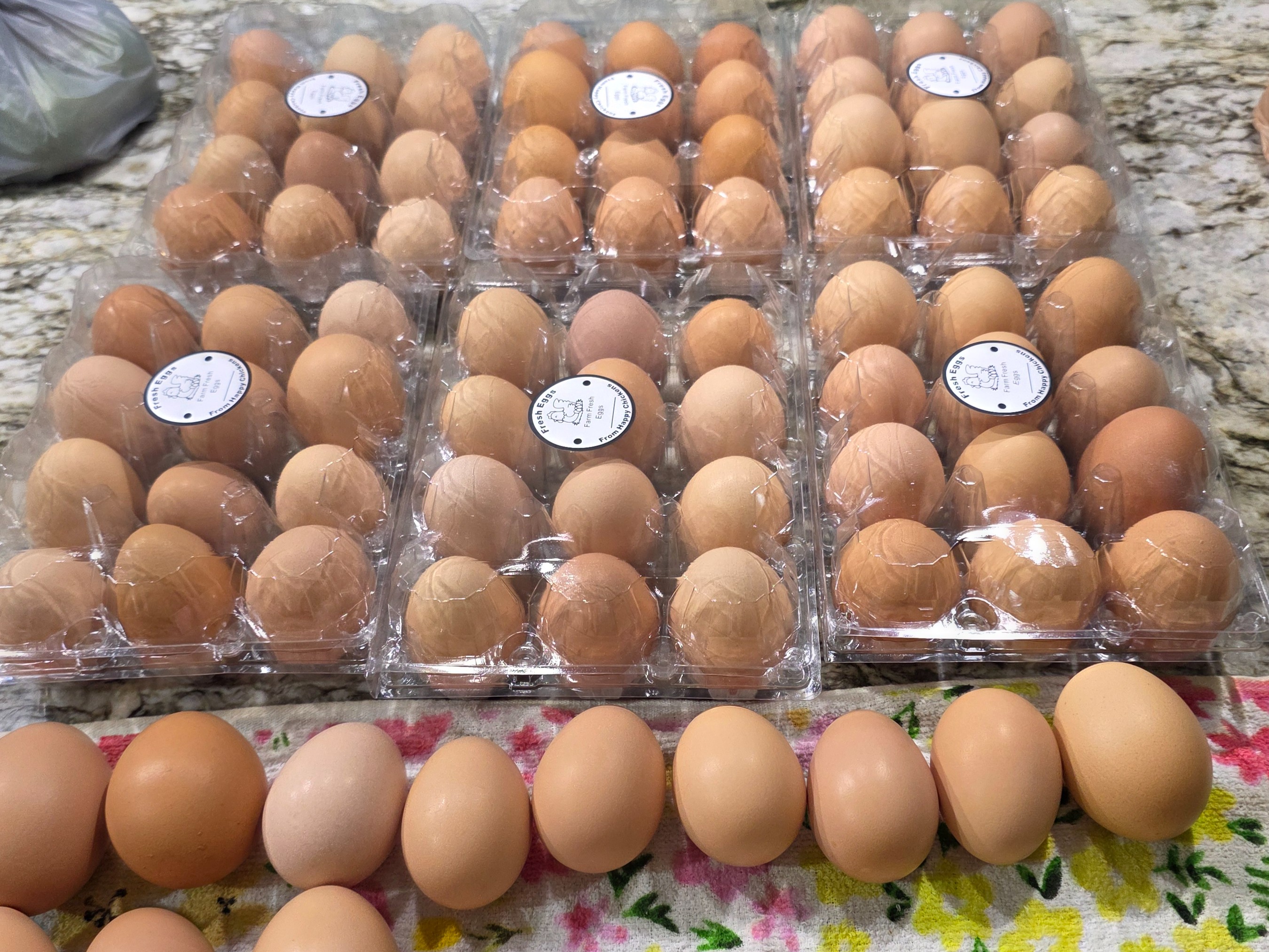 Thumbnail image 4 for Fresh pasture raised eggs 