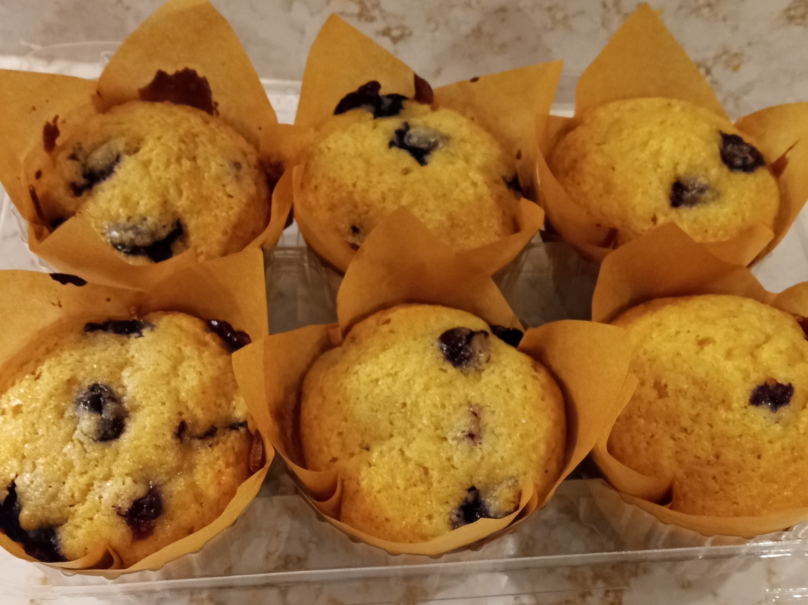 Muffins 