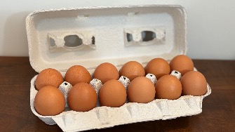 Fresh Brown Eggs