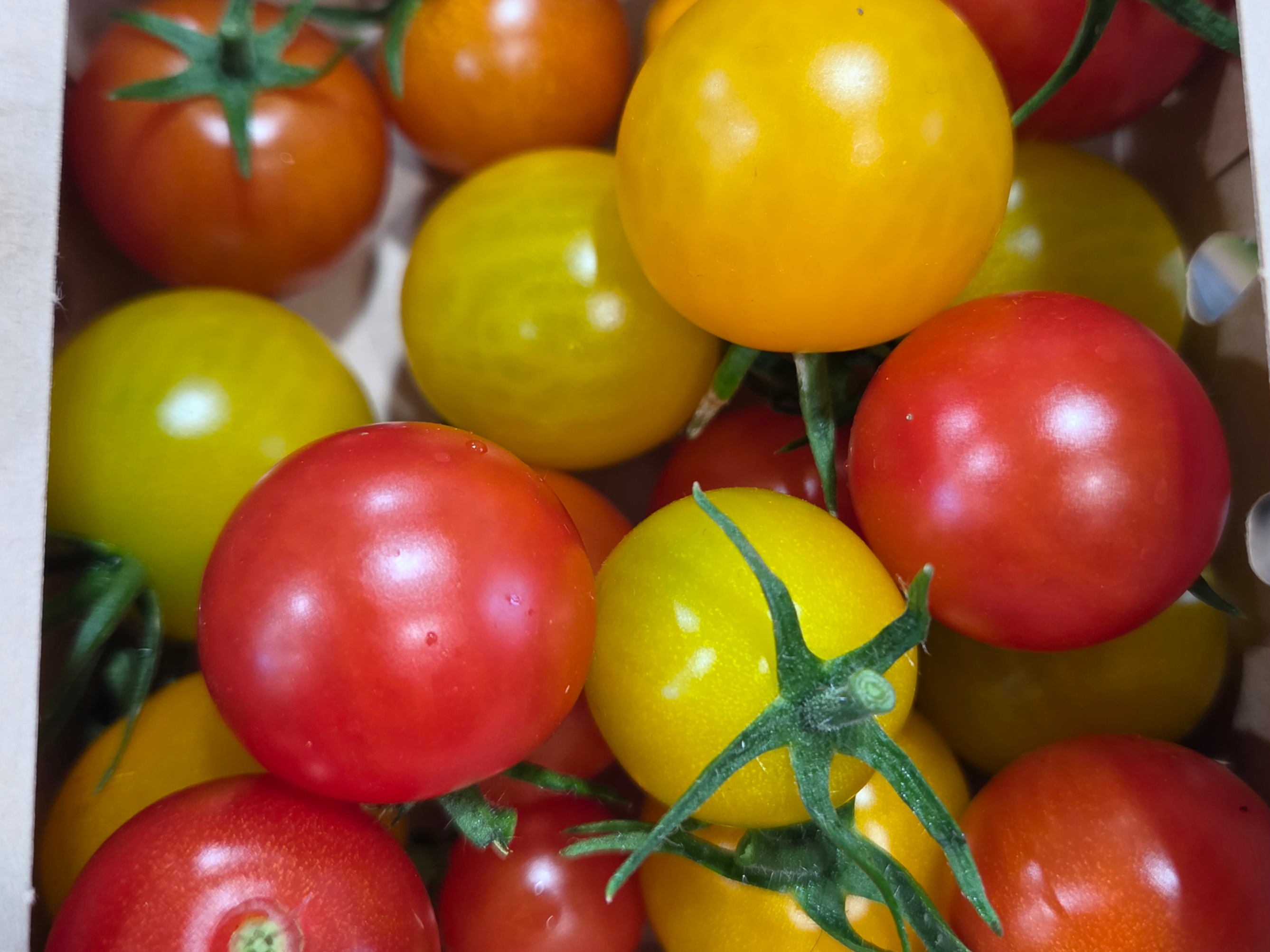Grab N Go - Tomatoes - Cherry Tomatoes