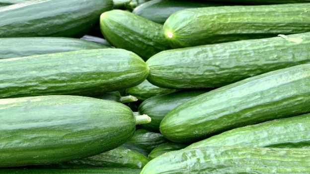 Cucumber