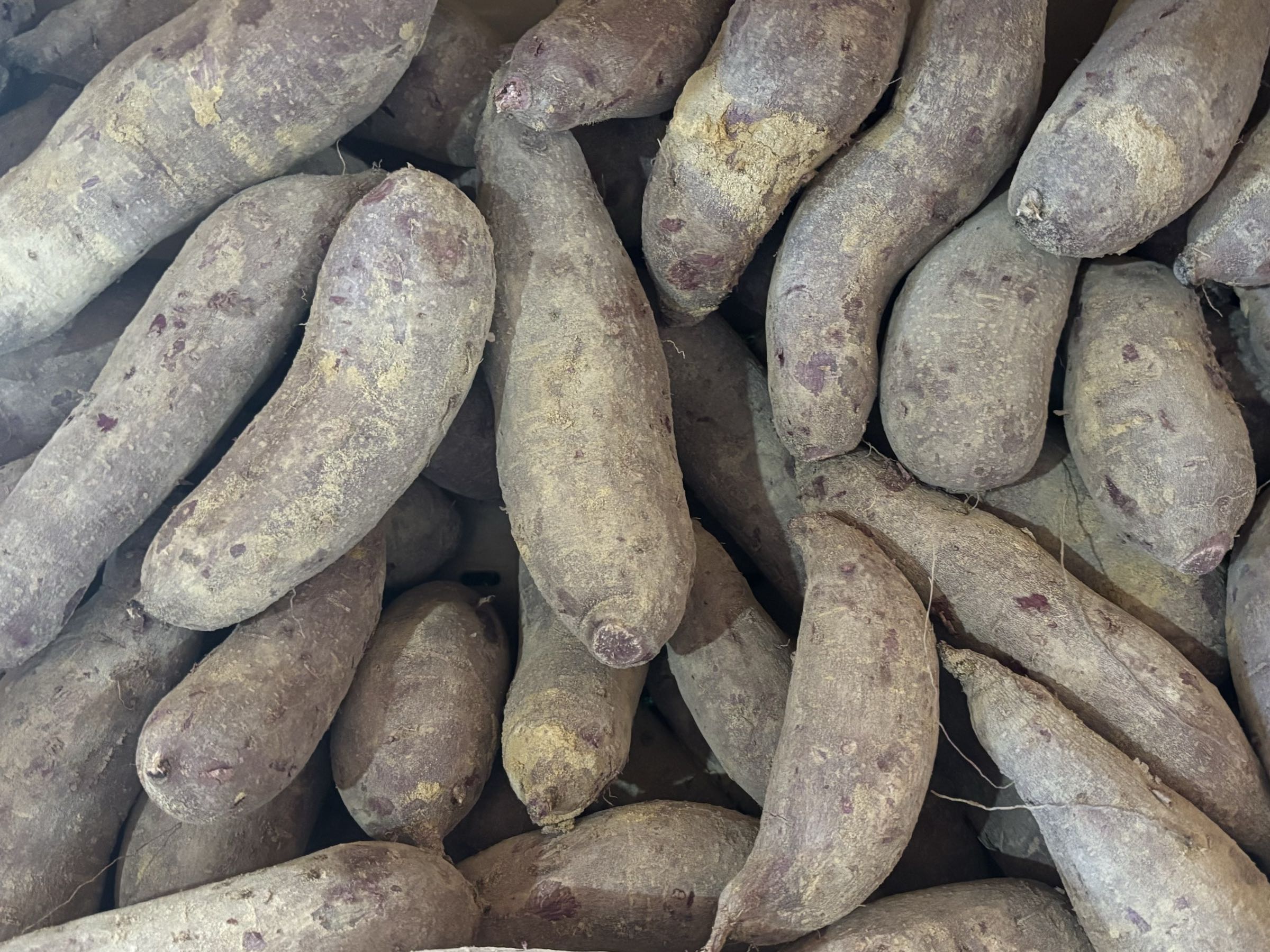 Local Purple Sweet Potatoes 