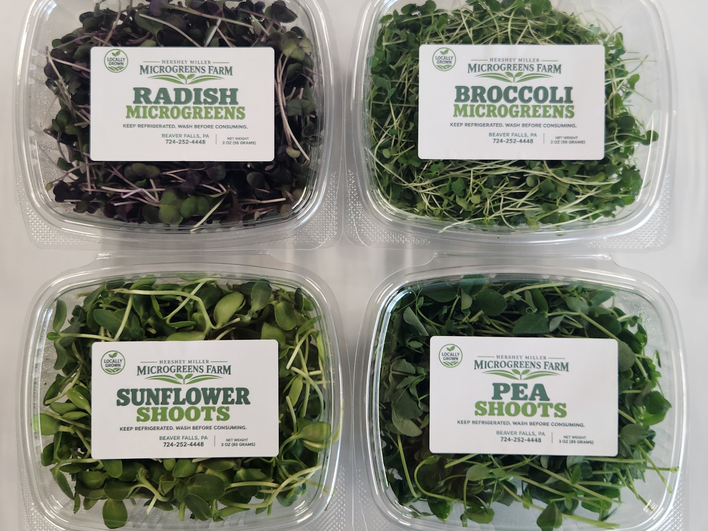 Thumbnail image 1 for 4 containers of our most popular microgreens