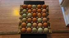 30 Chicken Eggs (Free Range)
