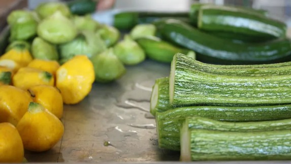 Summer Squash
