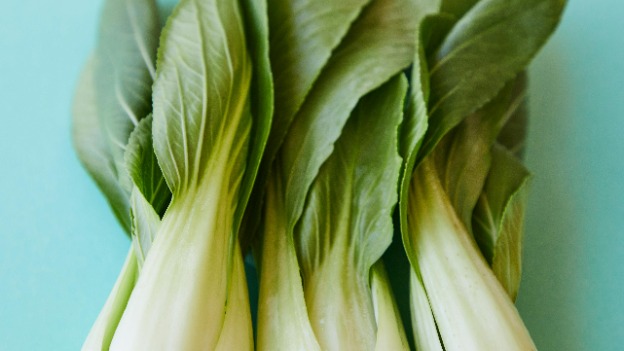 Bok Choy