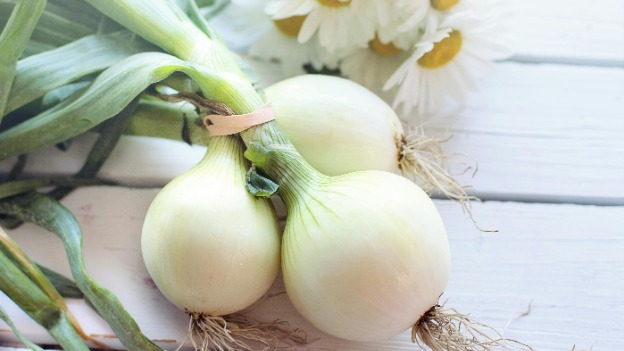 Onions