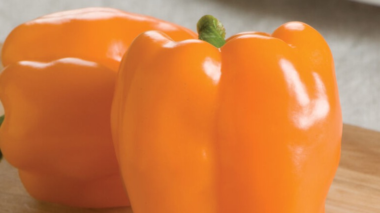 START - Pepper Sweet - Gourmet