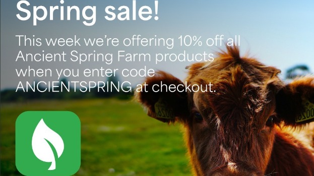 10% Off This Spring!