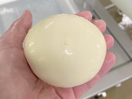 Fresh Mozzarella