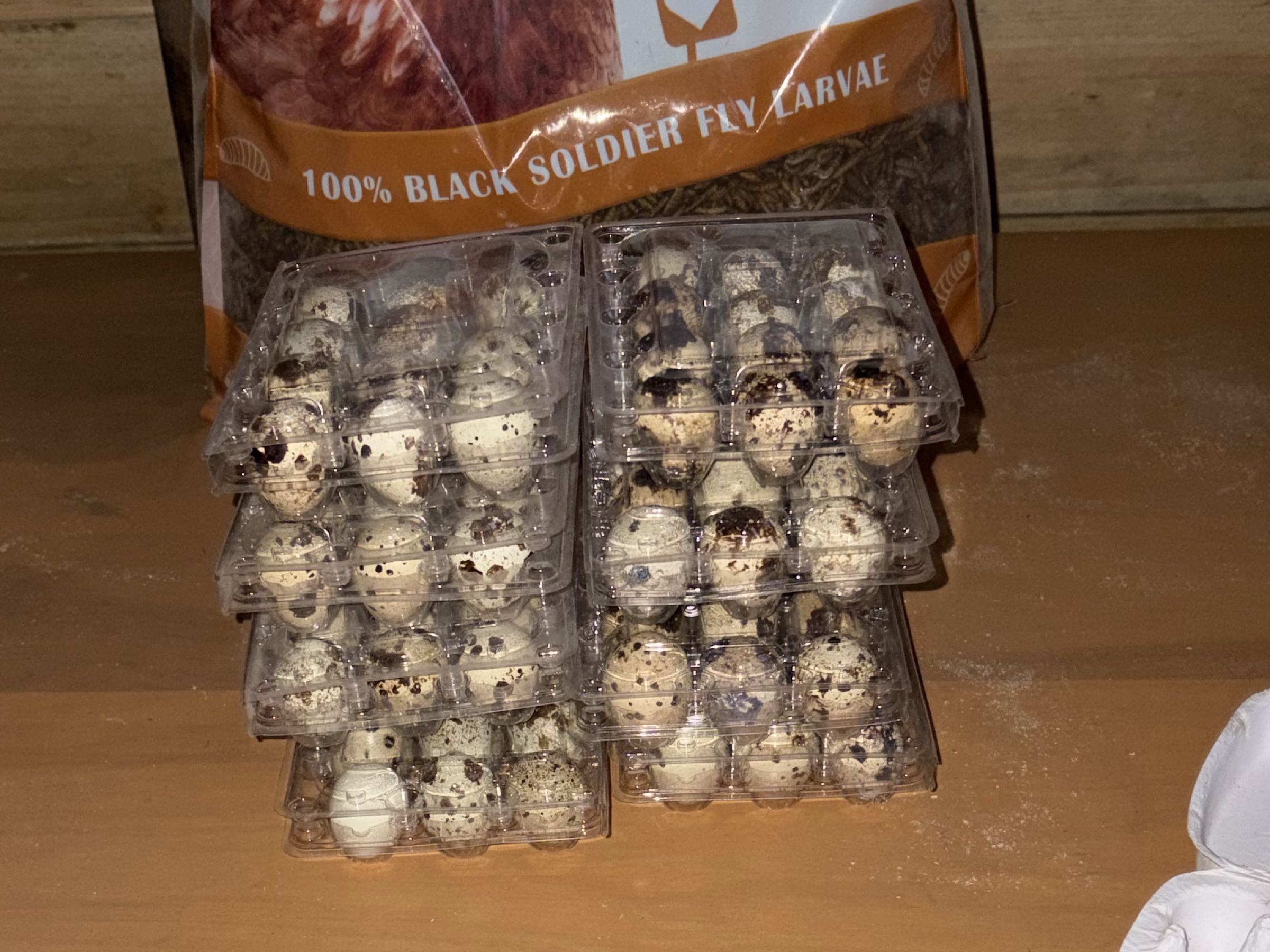 Thumbnail image 1 for Fresh quail eggs