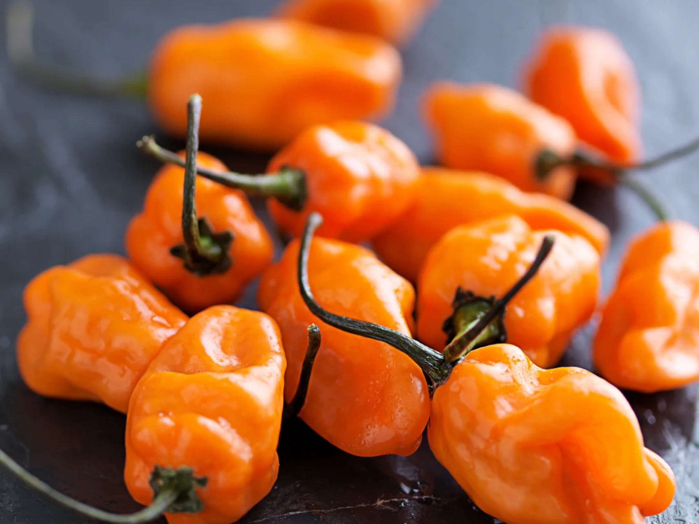 Habanero Peppers