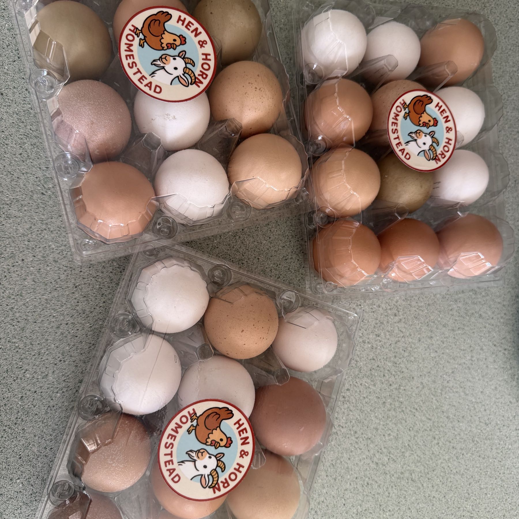 Eggs