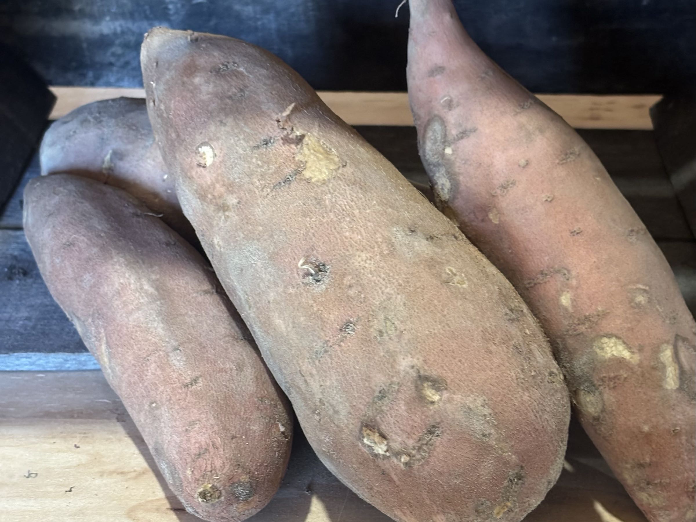 NC sweet potatoes