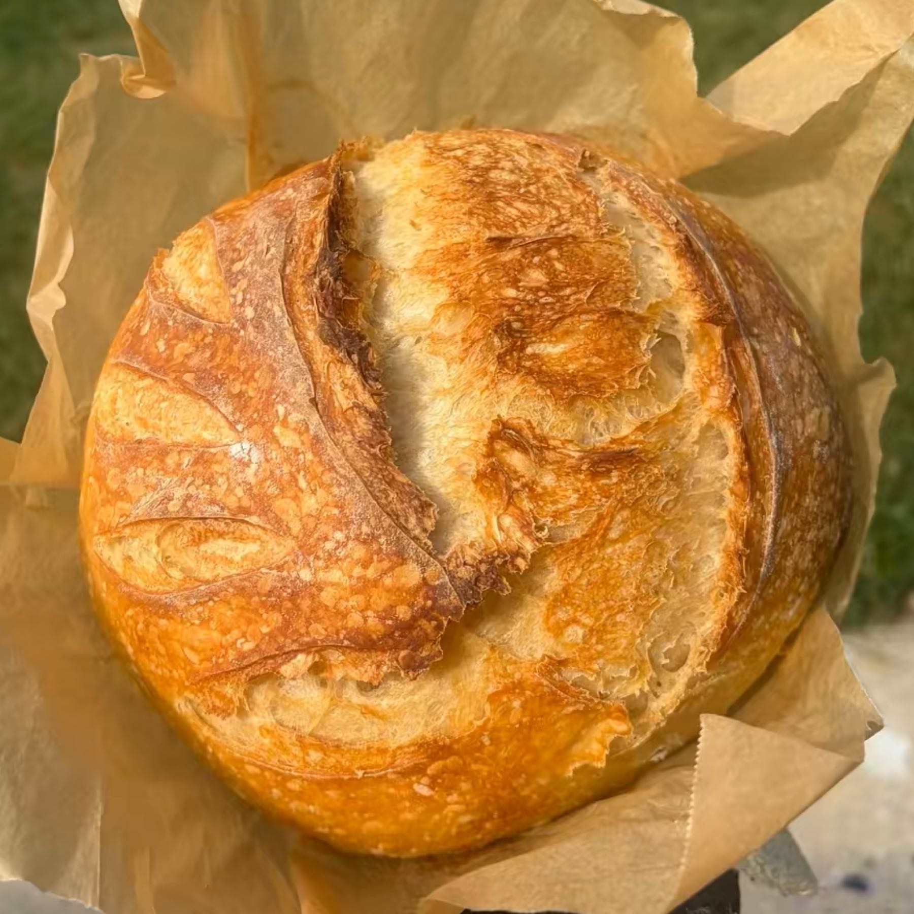Classic Sourdough