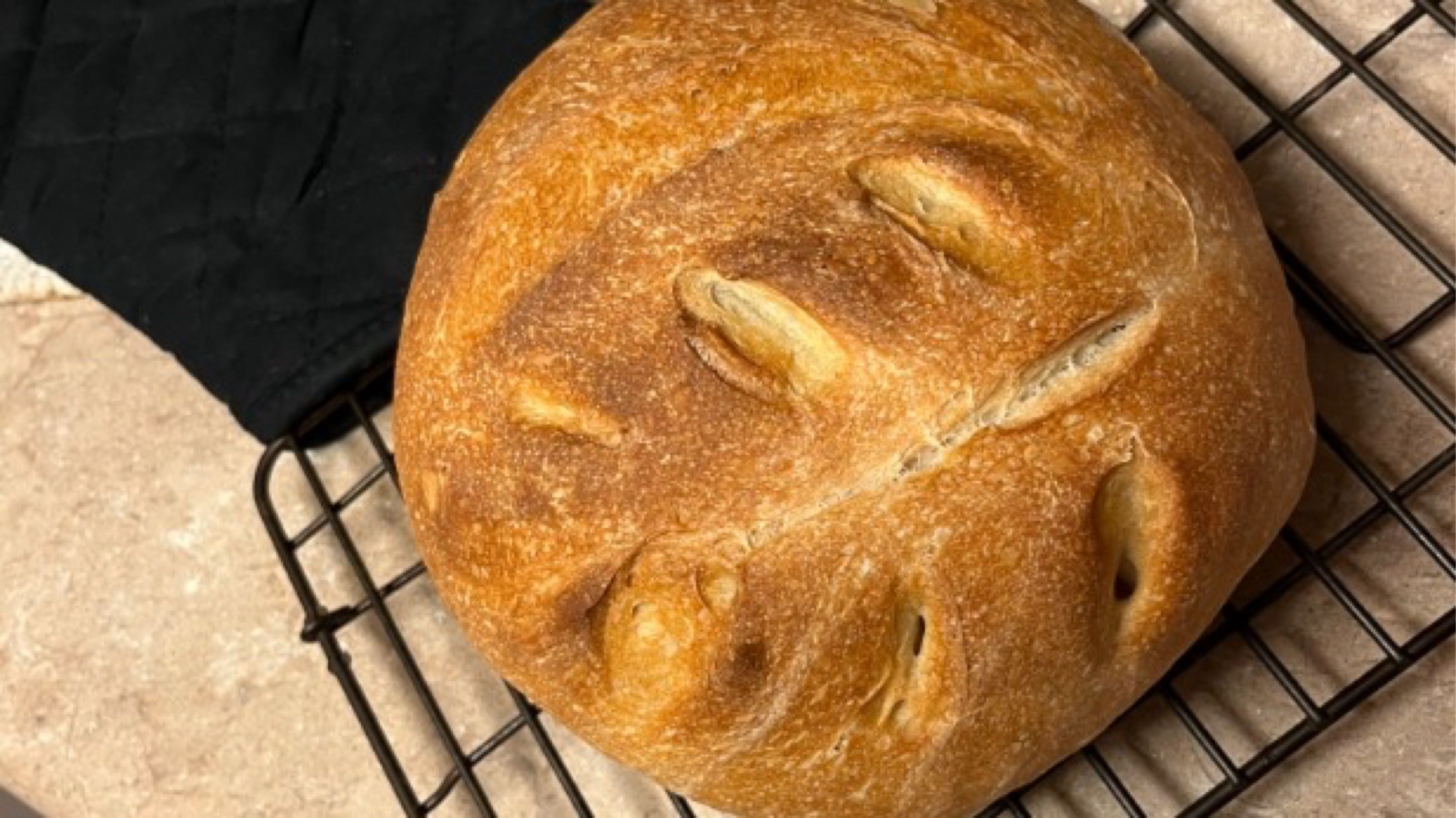 Thumbnail image 1 for Classic Sourdough