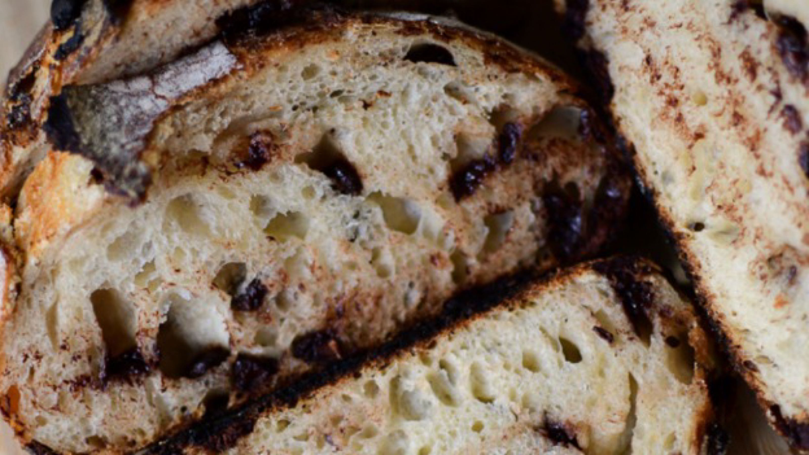 Chocolate Chip Sourdough