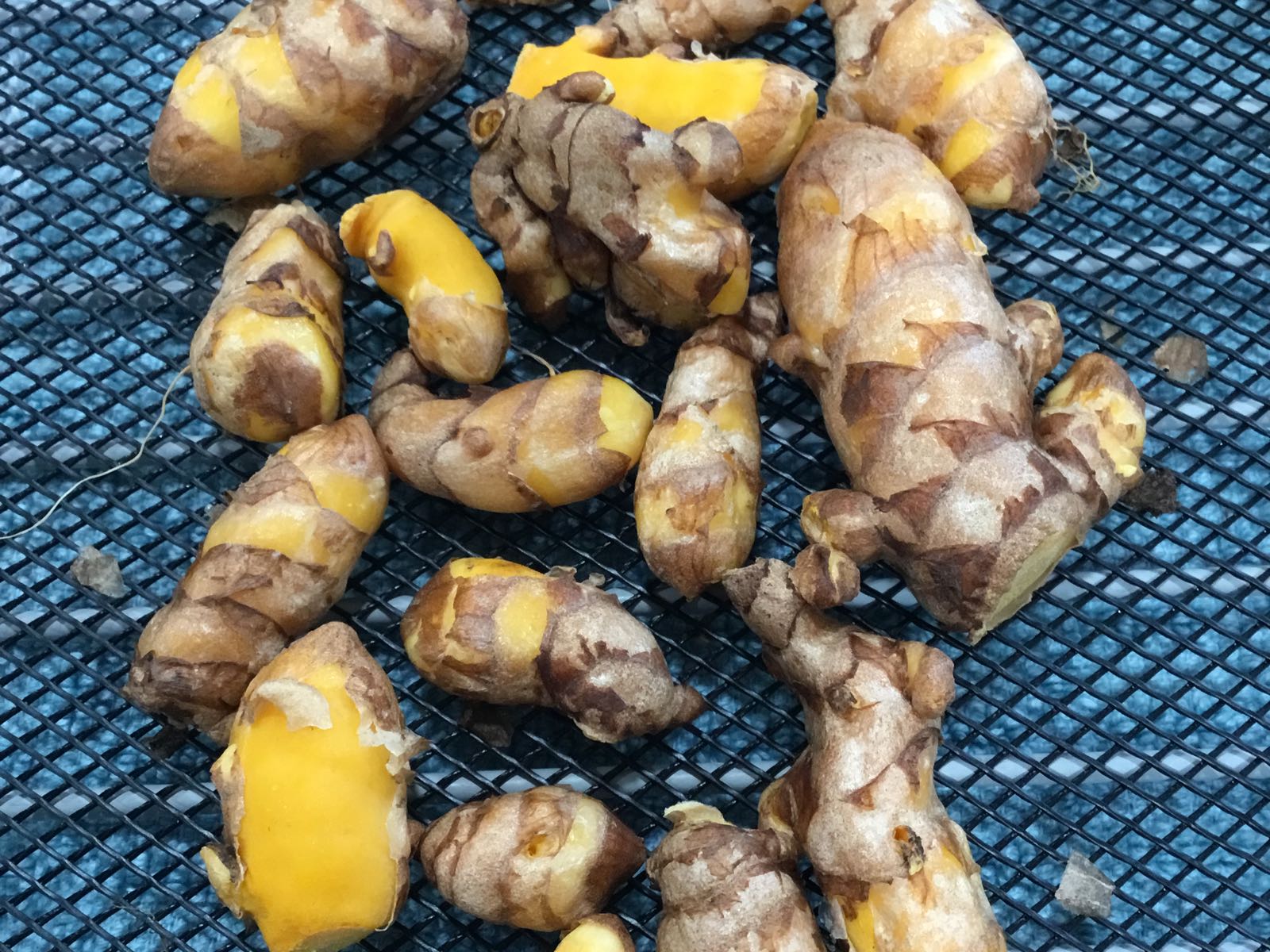 Thumbnail image 1 for Fresh - Tumeric