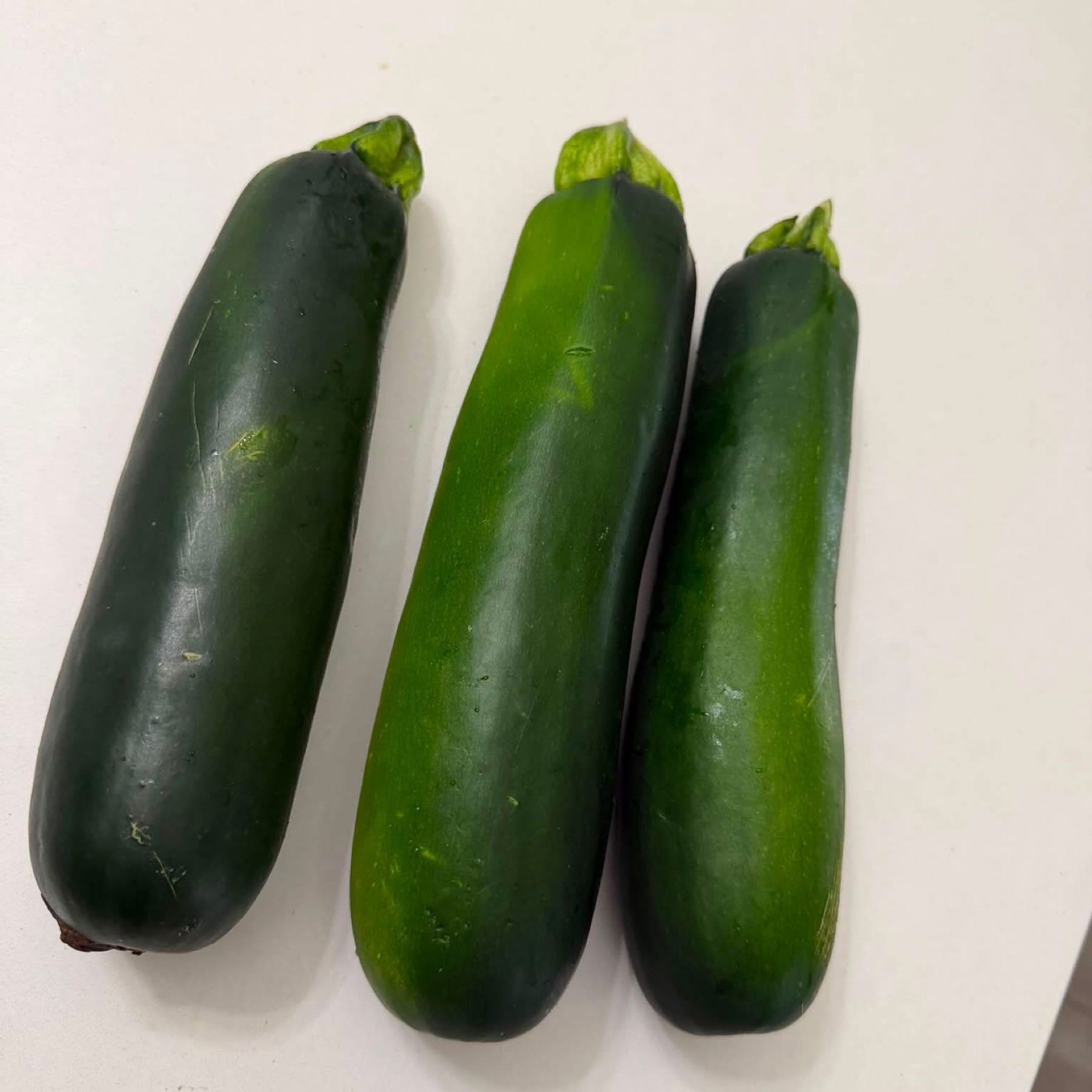 Zucchini 