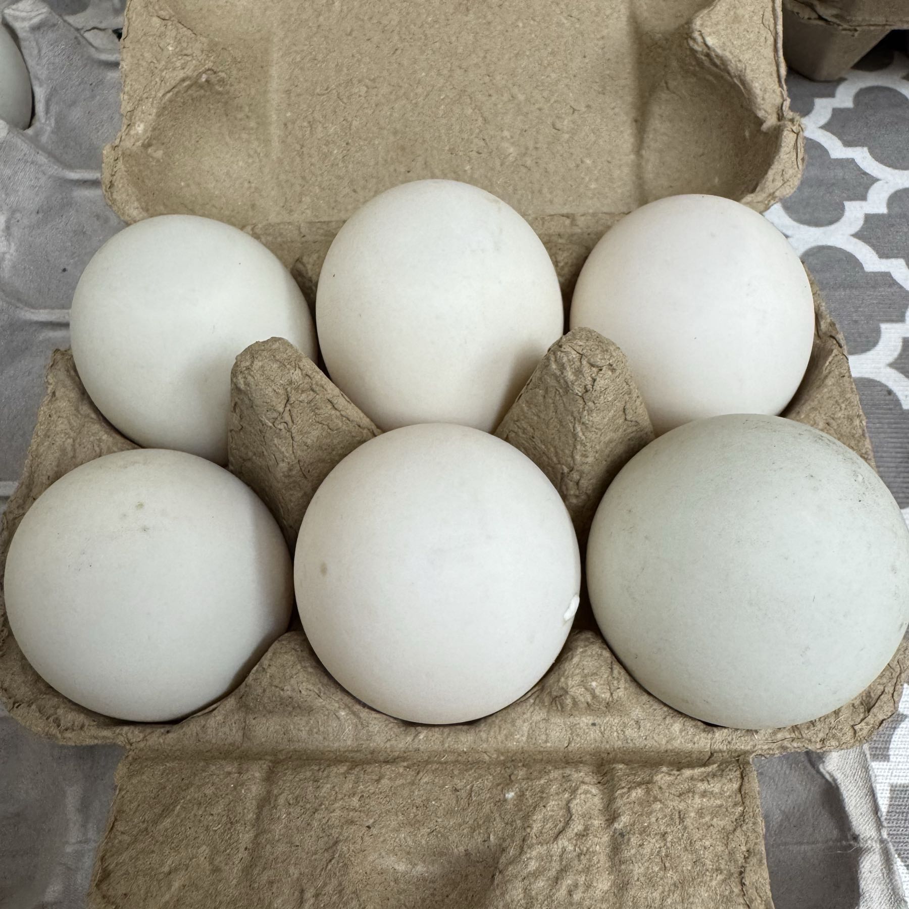 Duck Eggs