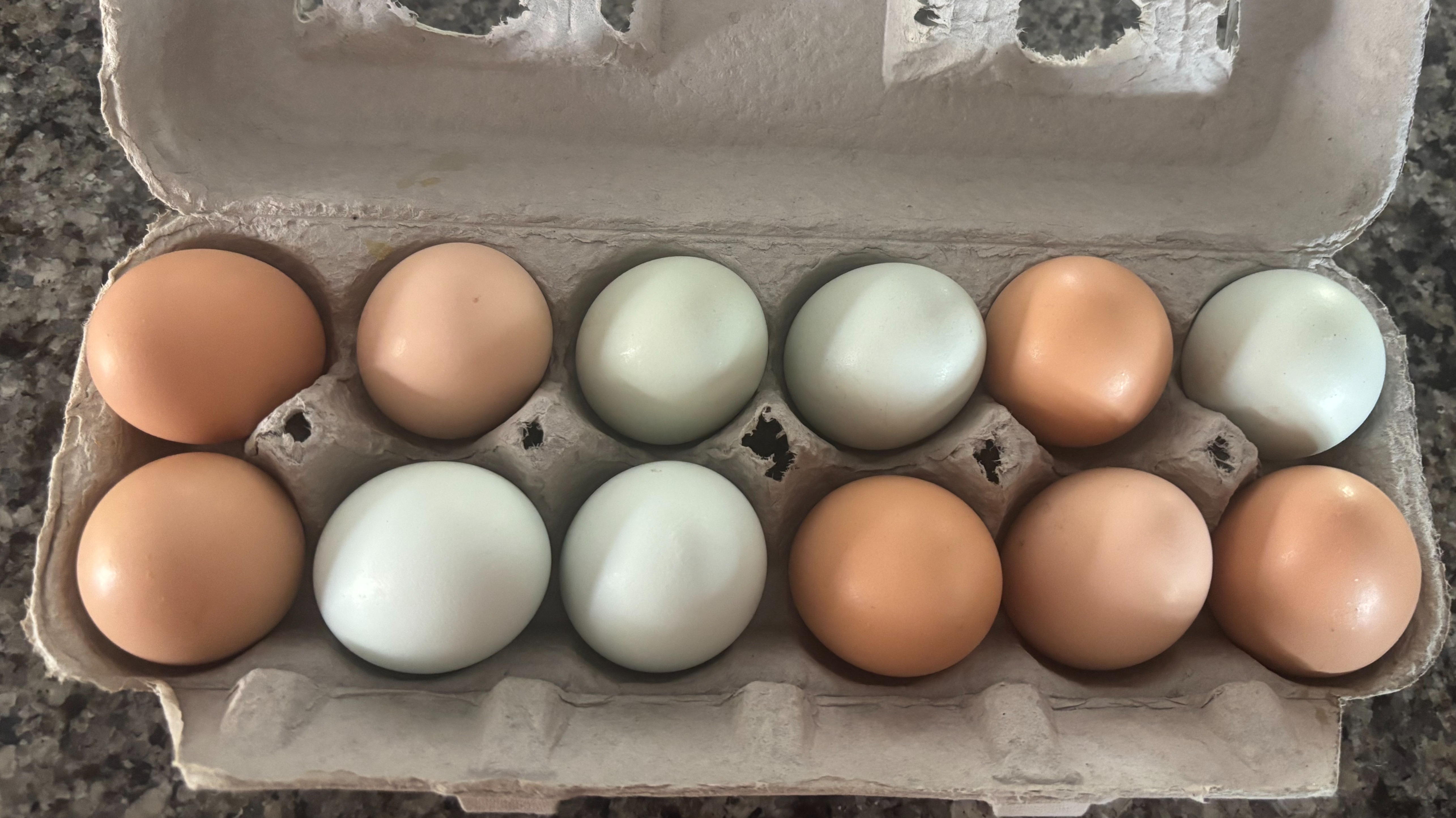 Fresh Eggs