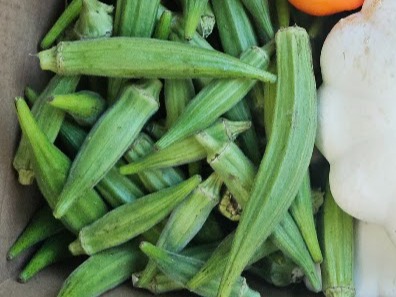 Thumbnail image 3 for Okra