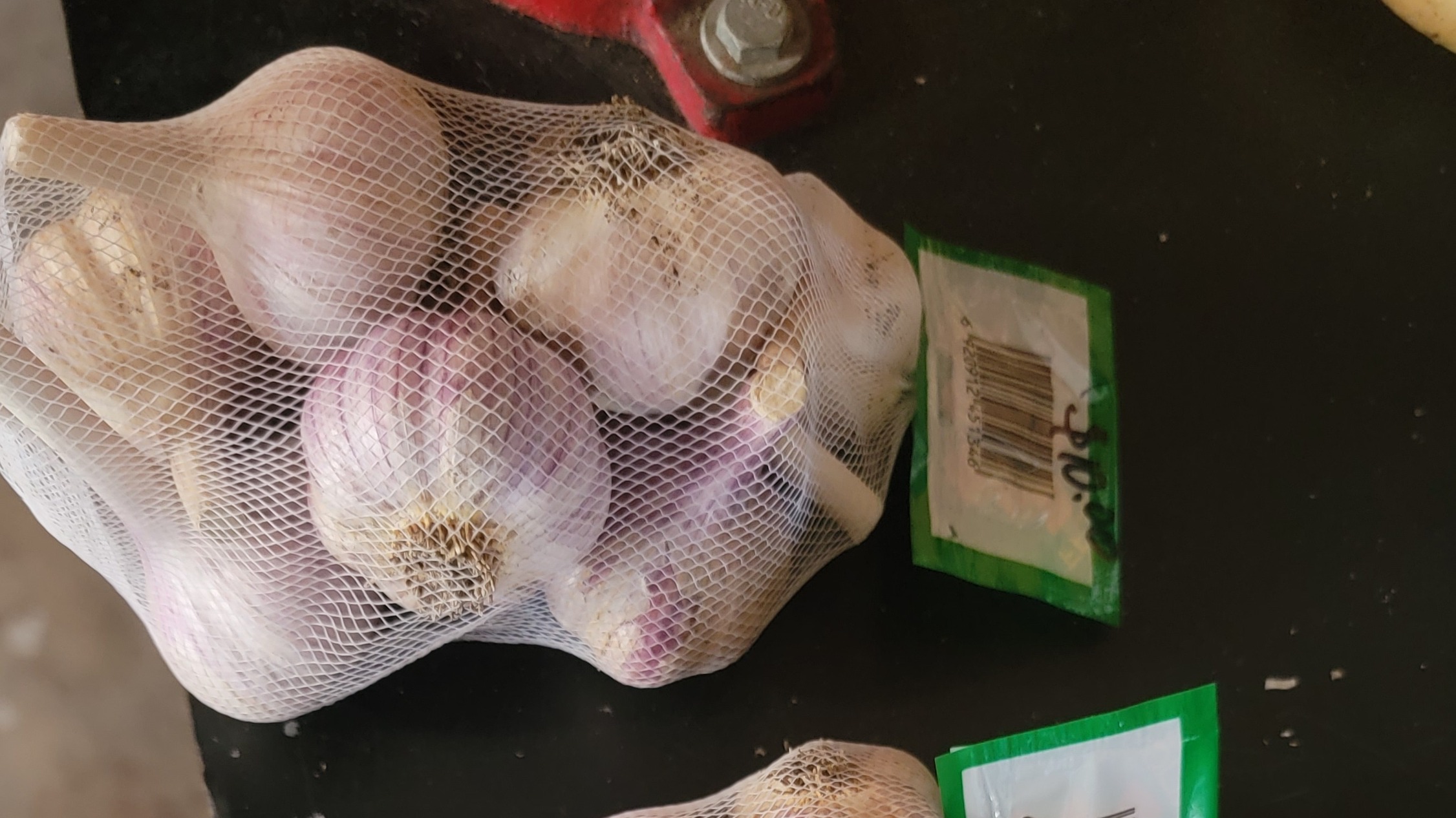 Hardneck chesnock and music garlic.