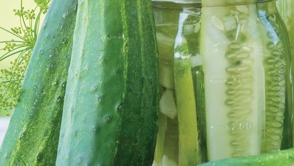 START - Cucumber - Fresh Pickles